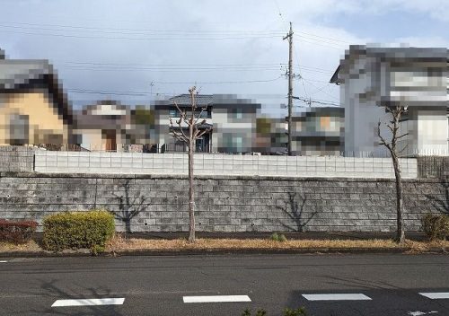 南側道路より撮影